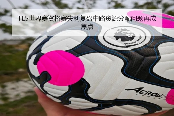 TES世界赛资格赛失利复盘中路资源分配问题再成焦点 - ODSPORTS
